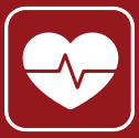 Cholesterol Cholesterol